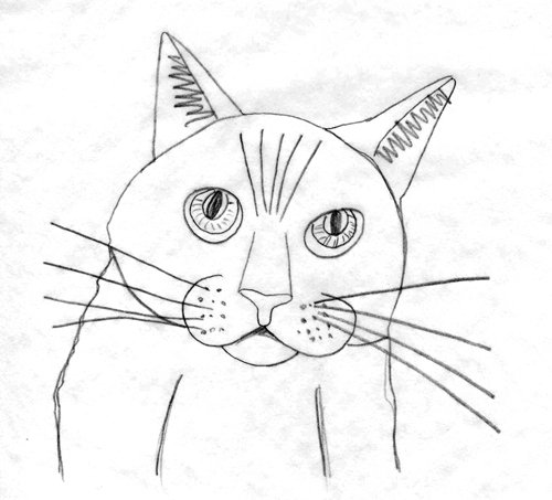 1923227_156242185432_1527268_n